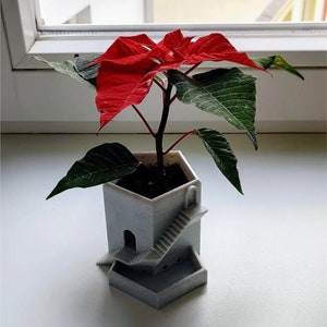 Puede incluir: Una planta de poinsettia roja en una maceta gris impresa en 3D con forma de una pequeña casa con una escalera. La maceta tiene una base hexagonal.