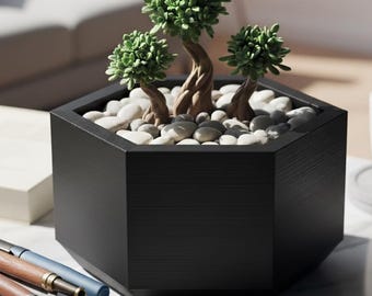 Design Octagonal Succulents Planter