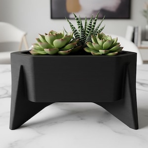 May include: A black, geometric planter with three succulents. The planter has a rectangular shape with angled legs. The succulents are green with reddish tips and are planted in dark soil. The background includes a painting and a white chair.