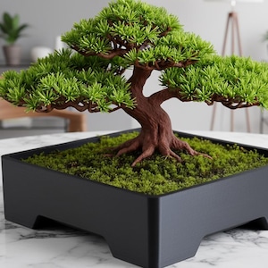 May include: A bonsai tree with a brown trunk and vibrant green foliage sits in a square black planter. The planter is filled with green moss. The tree is a decorative item, perfect for home or office decor.