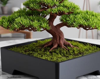 Minimalist Square Bonsai Pot
