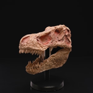 T-Rex Head Dinosaur Figure Home Decor, Multiple Color Options