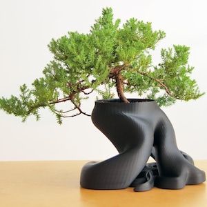 Tentacle Bonsai Planter - Indoor Planter - Succulent Planter - Flower Pot - Outdoor Pot - Pot Planter
