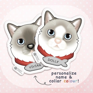 Personalized Ragdoll Cat Sticker – Custom Name & Collar Colour – Cute Vinyl Pet Decal – Gift for Cat Lovers