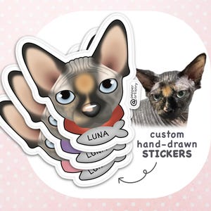 Custom Hand Drawn Cat Sticker | Cute Personalized Pet Portrait Vinyl Sticker