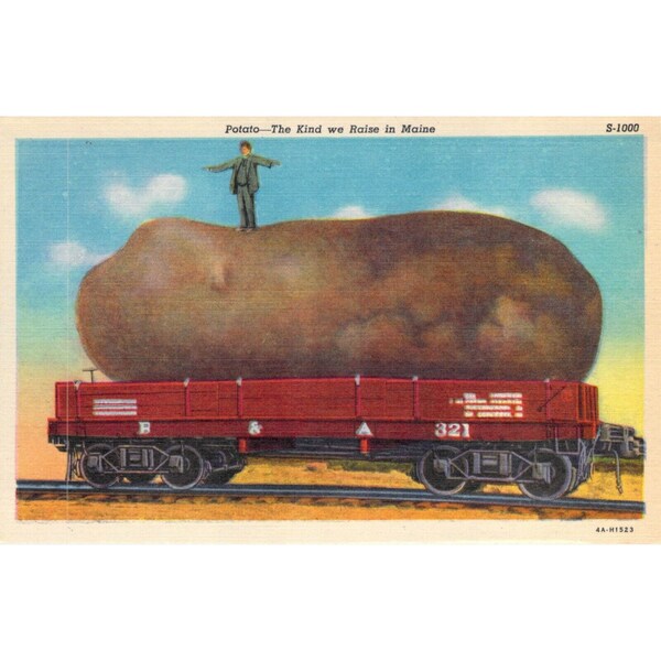 Vintage Postcard Potato The Kind We Raise in Maine Exaggeration Rail Car 1934 Humor New Old Stock Unused Postcrossing