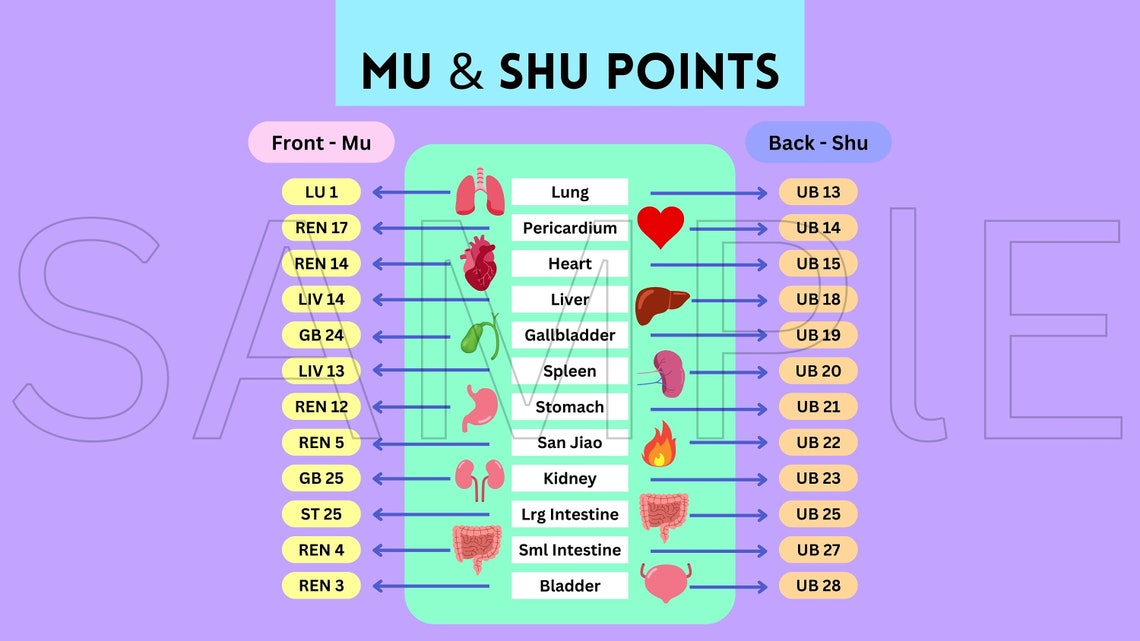 Acupuncture Points Desktop Wall Paper Front Mu and Back Shu TCM Points Study Guide, Laptop