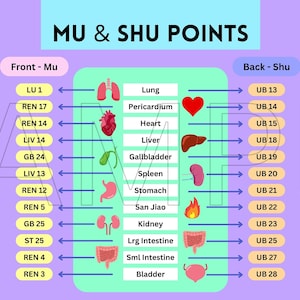 Acupunctuurpunten Desktop Behang - Voorzijde Mu en Achterkant Shu TCM Punten Studiegids, Laptop Achtergrond (INSTANT DOWNLOAD)