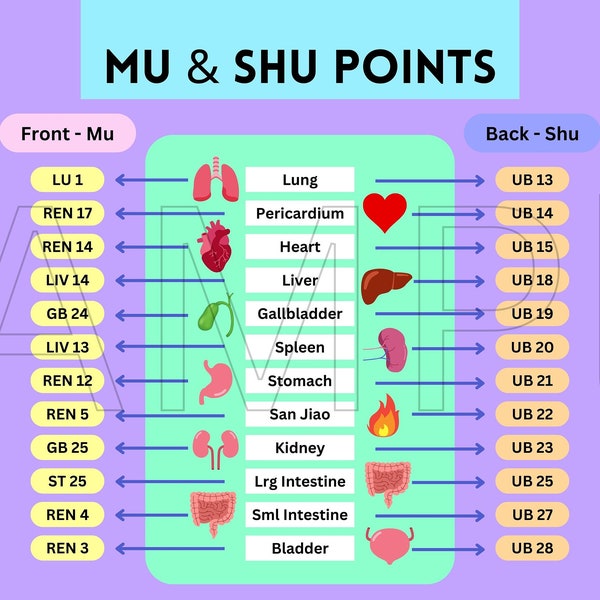 Acupuncture Points Desktop Wall Paper - Front Mu and Back Shu TCM Points Study Guide, Laptop Background (INSTANT DOWNLOAD)