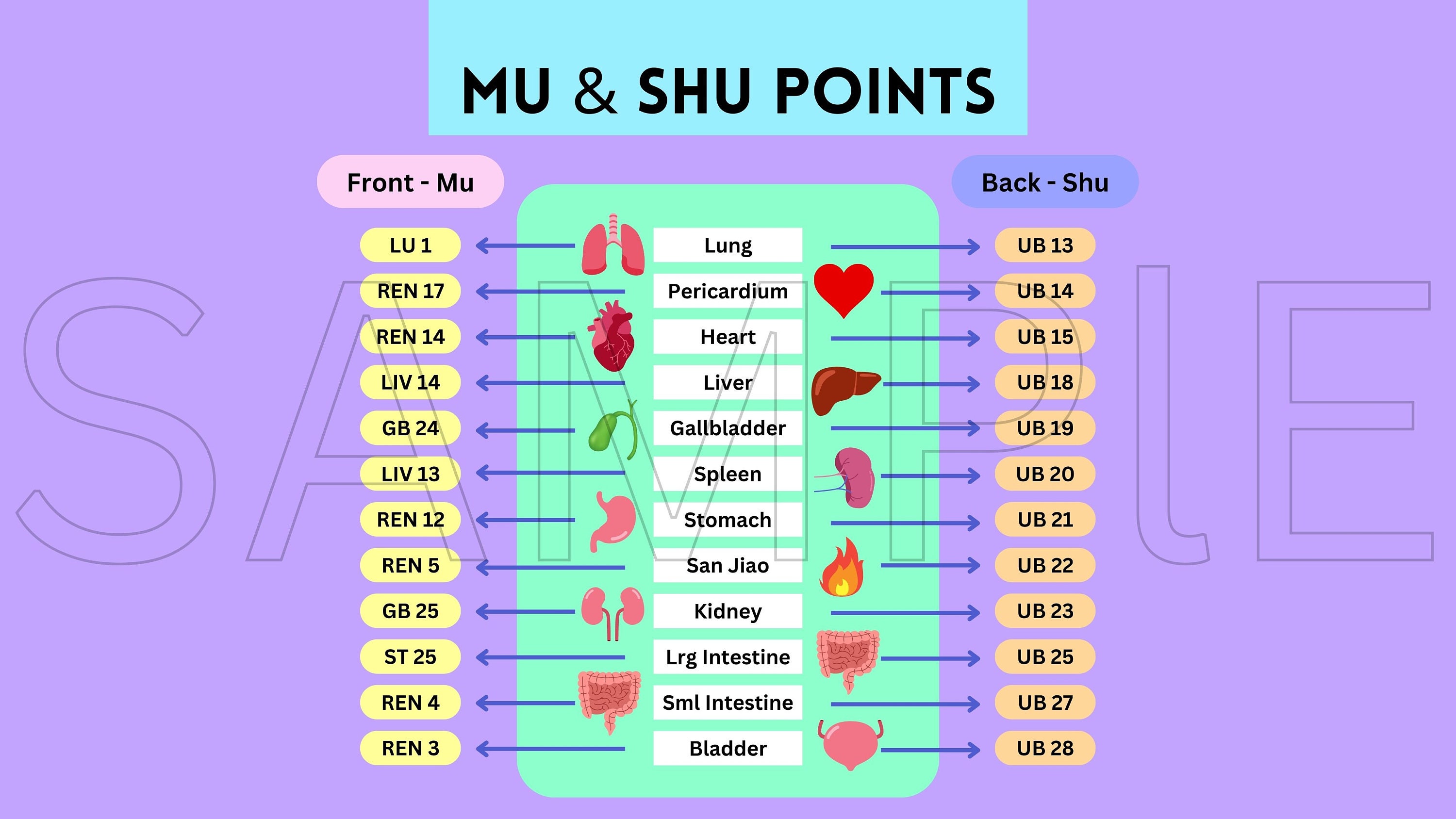 Acupuncture points desktop wall paper front mu and back shu tcm