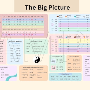 May include: A rectangular educational chart titled The Big Picture featuring a light cream background with the word SAMPLE overlaid in large letters. It displays organized tables and lists of acupuncture points, meridians, and elemental associations.