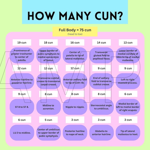 Cun Measurements Desktop Wallpaper - Full Body and Body Area Cun Measurements Study Guide, Laptop Background (INSTANT DOWNLOAD)