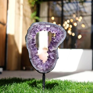 May include: A large, polished amethyst geode slice, mounted on a black metal stand, displayed outdoors on a bed of green grass. The geode features a vibrant purple crystal interior and a dark gray outer edge.