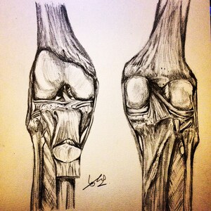 ANATOMY ART MEDICAL