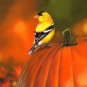 Goldfinch & Pumpkin Fabric Panel  35"x43", Digital Cotton Fabric by the Panel ML31930C1MHS Licensing - David Textiles