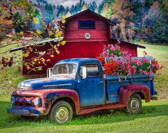 May include: A blue vintage pickup truck with a wooden bed is parked in front of a red barn. The truck bed is filled with pink and purple flowers. The truck is surrounded by green grass and trees.