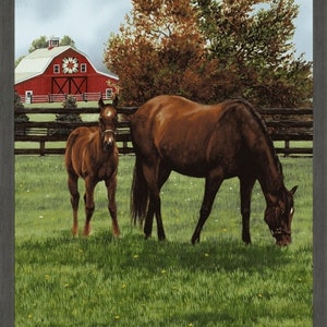 Horse Fabric Panel 24&quot;x42&quot;, Thistle Hill door Windham Fabrics, Horse Lovers Gift Bed Quilt Wall Hanging