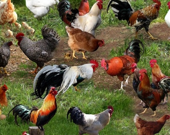 Chicken Fabric Sold by the Half Yard, 354-Green Elizabeth's Studio, Chickens Farm Gifts Quilt Wall Hanging Placemat