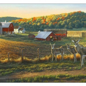 Whitetails Fabric Panel 22&quot;x43&quot;, 8900 by Elizabeth&#39;s Studio, Farm Yard Deer Quilt Wall Hanging Silo Fence