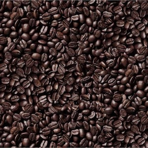 Coffee Bean Fabric, Sold by the Half Yard,  643E-Espresso Elizabeth Studios, Food Fabrics