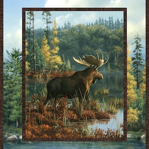 May include: A large brown moose stands in a shallow body of water with a forest background. The moose has large antlers and is looking to the right. The water is reflecting the sky and trees.