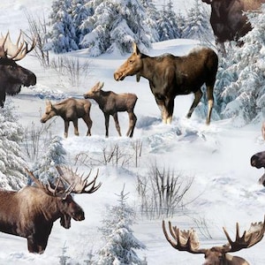May include: A snowy winter scene with multiple moose standing in a snowy forest. The moose are brown and have large antlers. The forest is covered in snow and there are trees in the background.