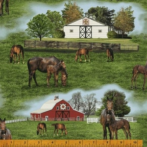 Horse Fabric 1/2 Yard, Thistle Hill door Windham Fabrics, Horse Lovers Gift Bed Quilt Wall Hanging