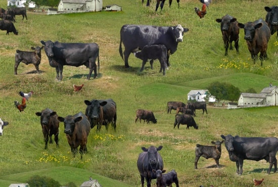 Black Angus Cows Fabric Sold by the Half Yard, 515-Green Elizabeth's Studio, Farm Cows Gifts Quilt Wall Hanging Placemat