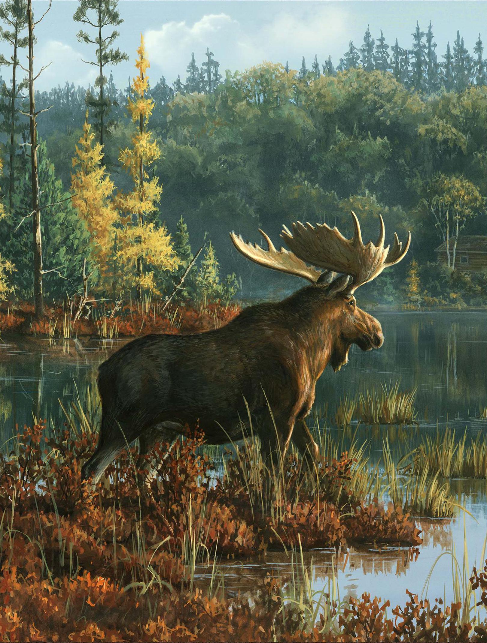 Moose Northwood Fabric Panel 36