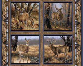 May include: Four framed images of white-tailed deer in a woodland setting. The deer are standing in a forest with trees and leaves. The images are in a grid pattern.