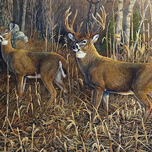 Deer Fabric Panel 44&quot;x36&quot;, Heading for Cover DP21379 Northcott, Deer Quilt Wall Hanging