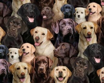 Labrador Fabric Sold by the Half Yard,  Dogs by Elizabeth's Studio, # 686-MULTI Labrador Dog fabric gift quilt, Chocolate Lab, Black Lab