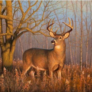 Whitetail Deer Fabric Panel 35&quot;x43&quot;, In the Spotlight fabric panel by David Textiles, Deer Doe Buck Quilt Wall Hanging
