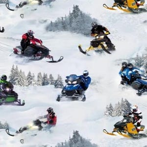 Snowmobile Fabric 1/2 Yard, 239-white by Elizabeth's Studios, Winter Snow Trees Snowmobile quilt wall hanging table runner blanket bed quilt