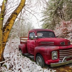 1949 Ford Red Truck in Winter Fabric Panel 44&quot;x36&quot;, Christmas Fabric Panel, Winter Trees Snow, Holiday Decor,  AL49472C1 David Textiles