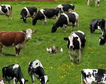 Cows Fabric Sold by the Half Yard, 337-Green Elizabeth's Studio, Holstein Farm Cows Gifts Quilt Wall Hanging Placemat