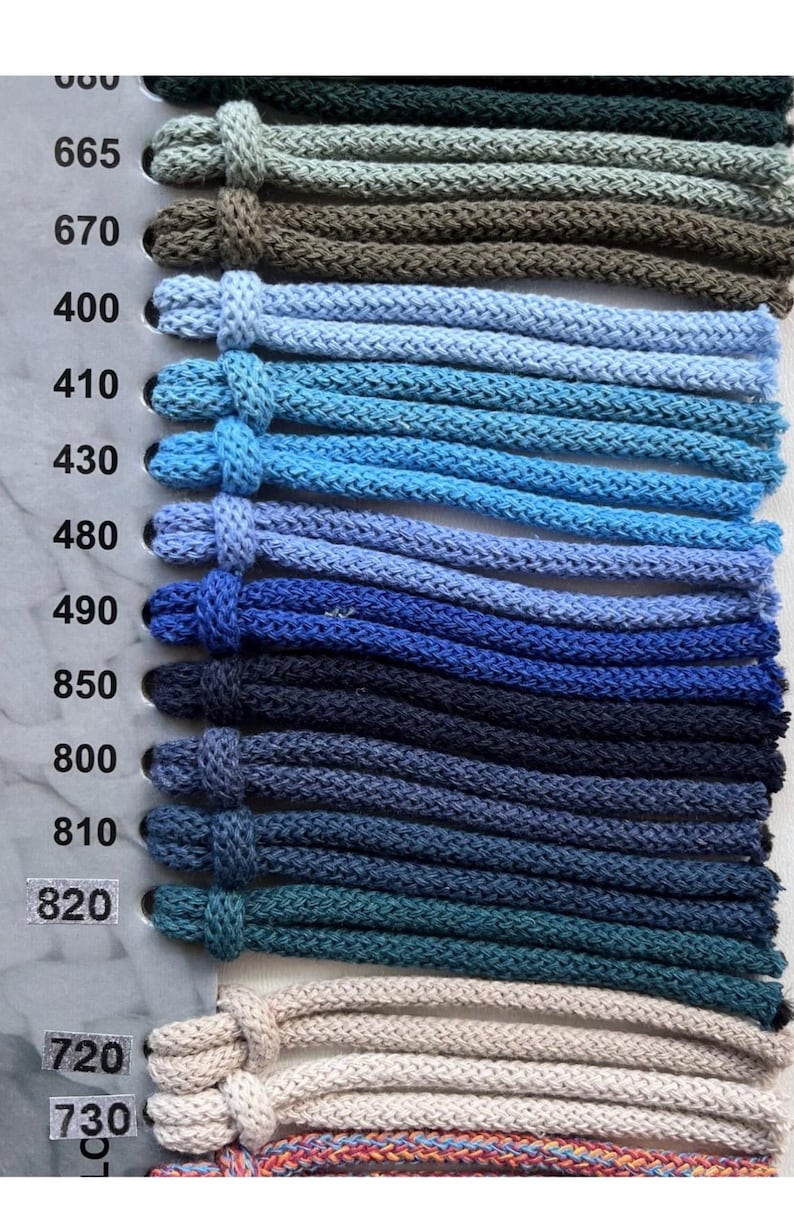 May include: A color swatch card featuring multiple braided cords in various shades of blue, green, brown, and beige. Each cord is looped through the card next to its corresponding numerical identifier, including 665, 670, 400, 410, 430, 480, 490, 850, 800, 810, 820, 720, and 730.