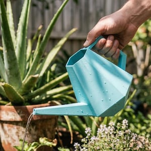 Regadera moderna Gazzaladra para interior y exterior, regalos para ella, regalos de jardín, accesorios de jardín, regalo de jardinería