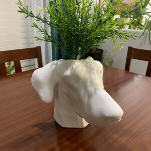 May include: White ceramic dog head vase with green leafy plant inside. The vase is sitting on a wooden table.