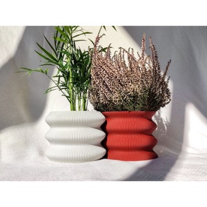 May include: Two ceramic planters with a wavy, ribbed design. One planter is white and the other is red. The white planter has a green plant inside and the red planter has a pink flower inside.