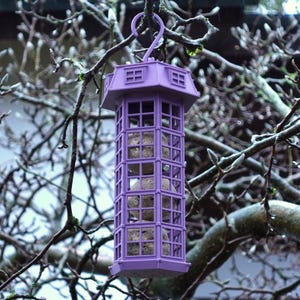 Gazzaladra Suet Bird Feeder | Bird Watchers | Garden Ornament