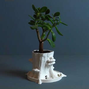 Gazzaladra Sylvatica Tree Planter Decor for Dinner Table, Party, Living Room, Bedroom