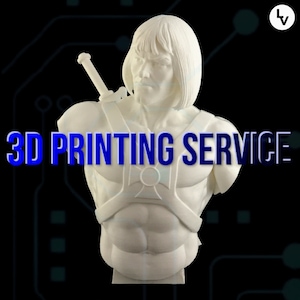 LV Individueller 3D-Druck- und Designservice