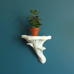 Gazzaladra Unique Wall shelf Interior Decor “Oyster Fungus” for Party, Living Room, Bedroom