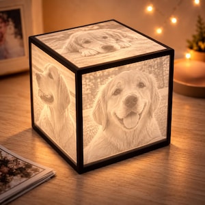 May include: A square lamp with a black frame featuring illuminated panels on three visible sides. Each panel displays a detailed monochrome photographic portrait of a golden retriever dog, showing the animal in different poses and expressions.