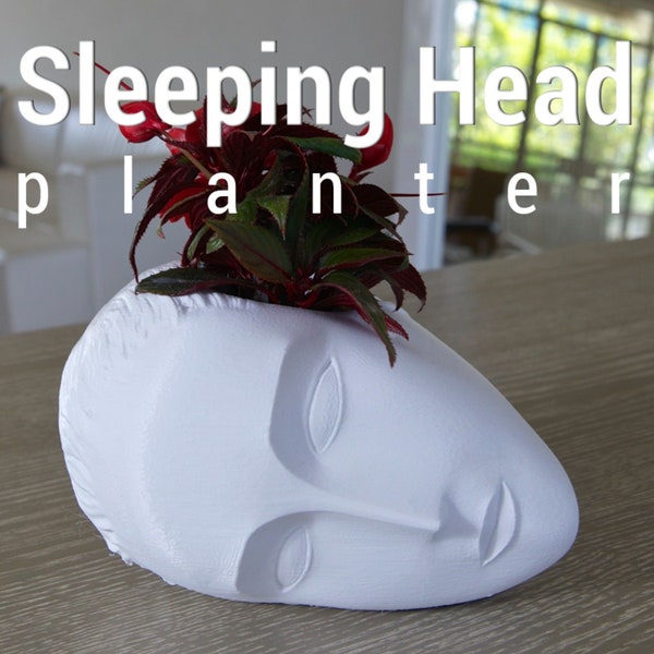 3D Shook Sleeping Muse Planter for Weddings, Dinner Table, Party, Living Room, Bedroom