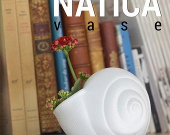 3D Shook Natica Vase - Nautical Sculptural Decor for Weddings, Dining Table, Living Room and Bedroom | Seashell Art Vase