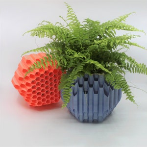 3DPPA Hegaxon Overload Self-Watering Planter /Planter Decor for Dinner Table, Party, Living Room, Bedroom