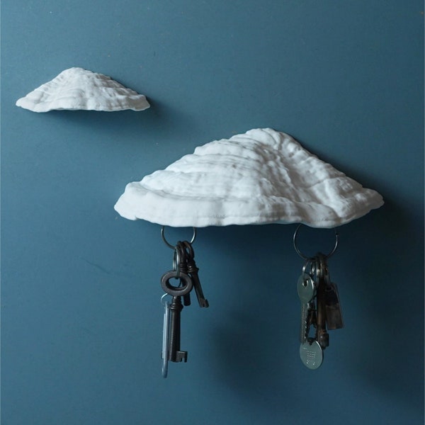 Carnosum Fungus Magnetic Key Holder for Party, Living Room, Bedroom