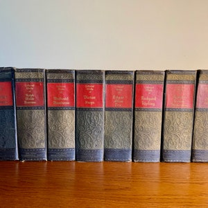 COLLECTED WORKS SERIES by Walter J Black Inc. International Series 1920s - 8 Volumes